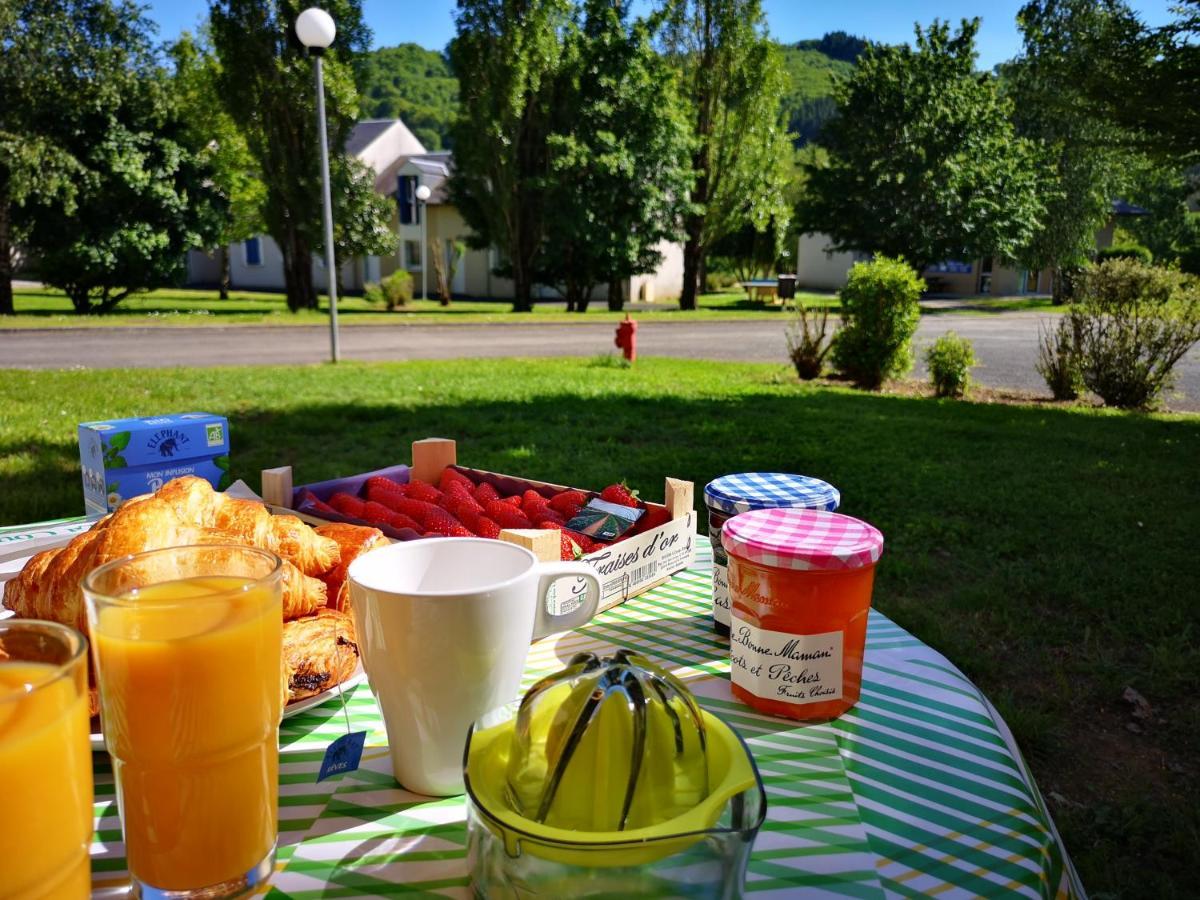 La Maison Bleue, Village Vacances, Piscine, Parking Saint-Geniez-dʼOlt Exteriör bild