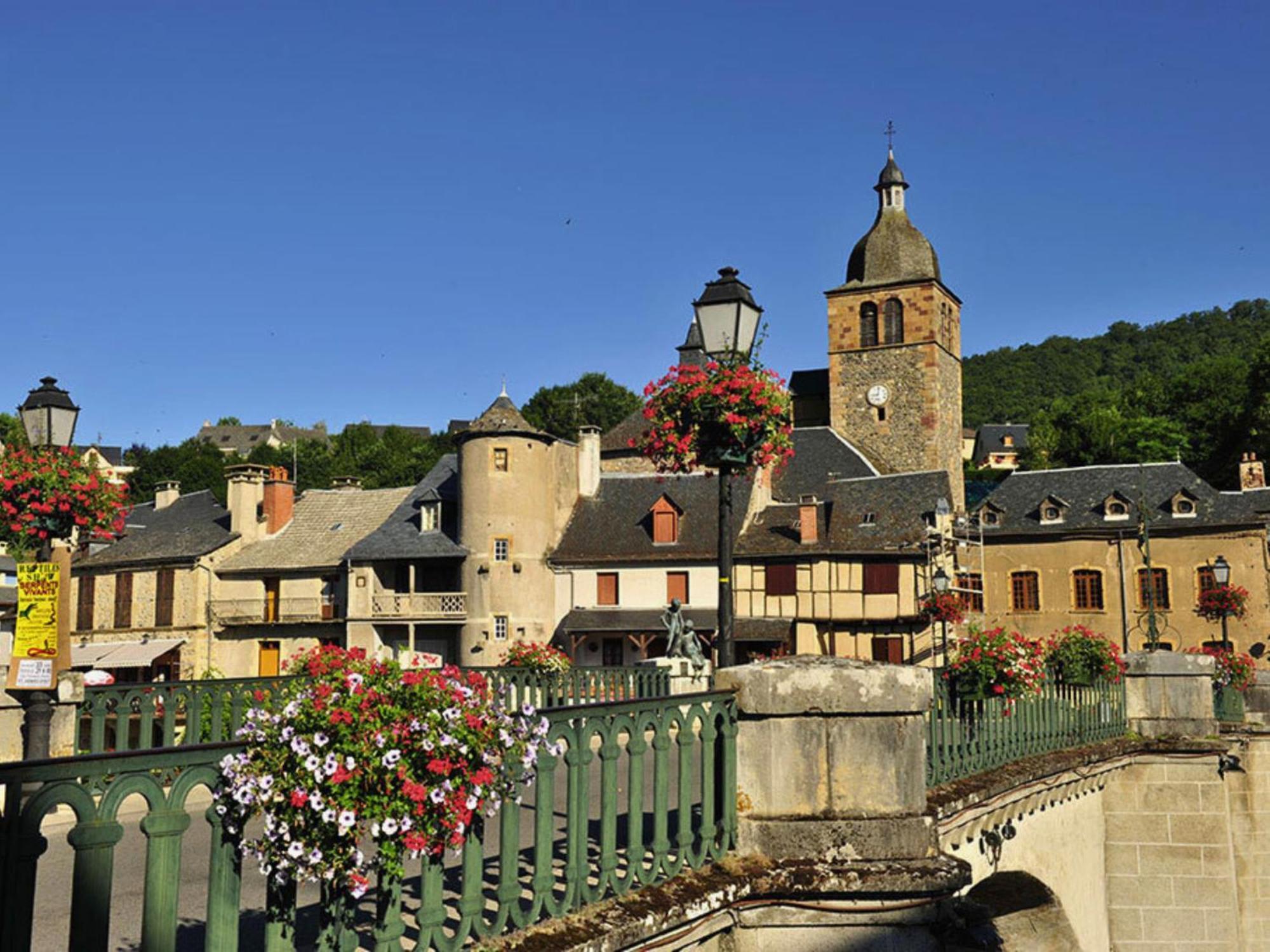 La Maison Bleue, Village Vacances, Piscine, Parking Saint-Geniez-dʼOlt Exteriör bild